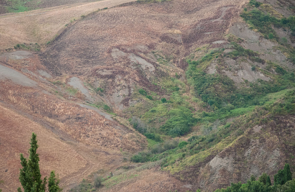 3 sentieri a km zero colline volterrane
