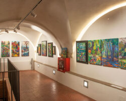 mostra-donata-debernardi-gian-volterra-17